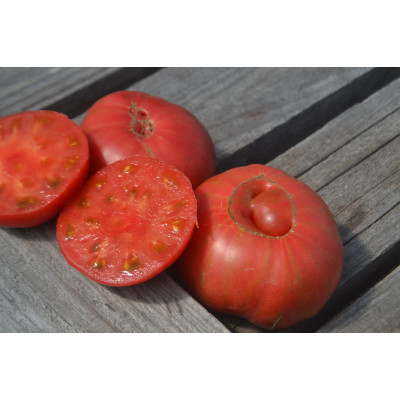 Томат ВЗИ Кейли пинк Томат ВЗИ Кейли пинк