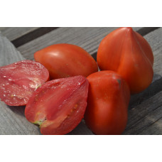 Томат Заилийский Алатау Томат Заилийский Алатау