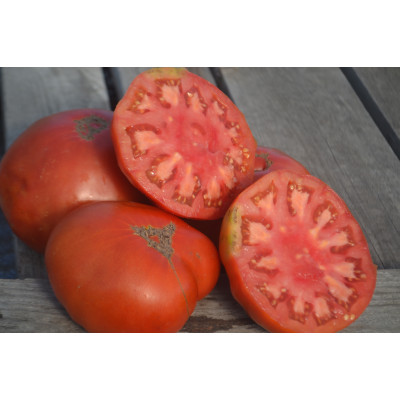 Томат Потимар Томат Потимар