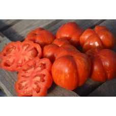 Томат Стайпед стаффер