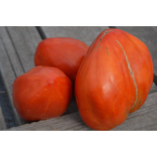 Томат Старинное сердце Акве терме ( Cuore Antico di Acqui Terme)