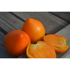 Томат Оранжевое сердце алма-атинское Томат Оранжевое сердце алма-атинское