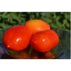 Семена помидоров Дамские пальчики