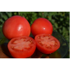Семена помидоров Демидов