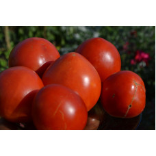 Семена помидоров Хабаровсий розовый