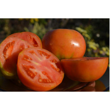 Семена помидоров Лонг-кипер