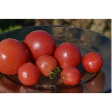 Семена помидоров Малыш розовый