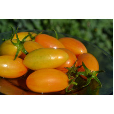 Семена помидоров Медовые пальчики