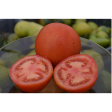 Семена помидоров Непасынкующийся