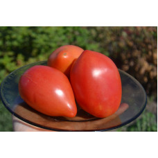 Семена помидоров Новозеландские