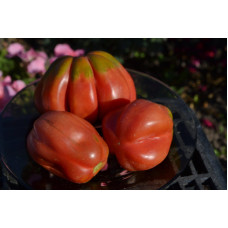 Семена помидоров Тлаколула красная