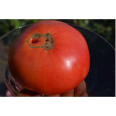 Семена помидоров Три толстяка