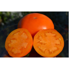 Семена помидоров Тырновсий оранжевый