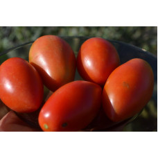 Семена помидоров Засолочное чудо