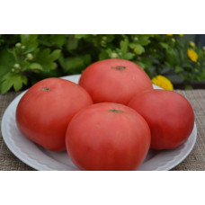 Семена помидоров Башкирский красавец