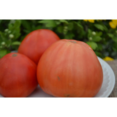 Семена помидоров Большой Лучиано( Big Luciano)