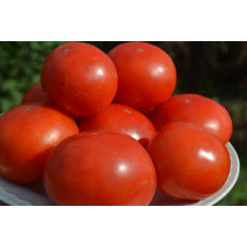 Семена помидоров Бонни М
