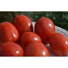 Семена помидоров Домашний разносол