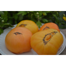 Семена помидоров Гном Апельсиновый крем (Dwarf Orange kream)