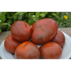 Семена помидоров Гном  Смех Кукабарры (Dwarf Kookaburra Cackle) 