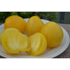 Семена помидоров Гном Лимонное мороженное (Dwarf Lemon Ice)