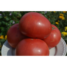 Семена помидоров Идеал