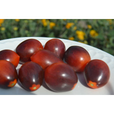 Семена помидоров Индиго кумкват(Indigo Kumquat)