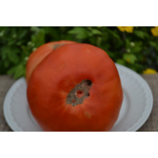 Семена помидоров Клубничный(Fragolino)