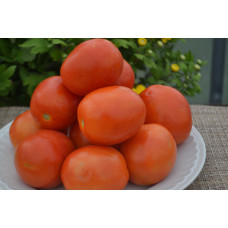 Семена помидоров Маруся