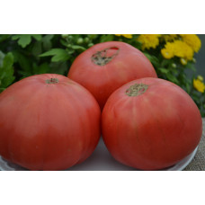 Семена помидоров Минусинский гигант розовый