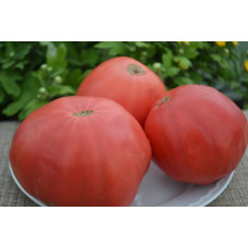 Семена помидоров Минусинские красные шары