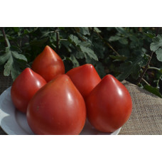 Семена помидоров Минусинский с носиком