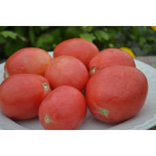 Семена помидоров Новичок розовый