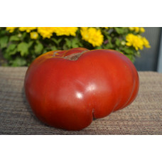 Семена помидоров От семьи Гриб