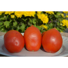 Семена помидоров Ред алерт