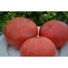 Семена помидоров Роза Ташкента