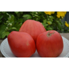 Семена помидоров Русское сердце Доусона