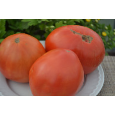 Семена помидоров Сердце красавицы