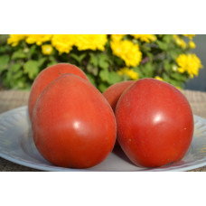 Семена помидоров Шахерезада