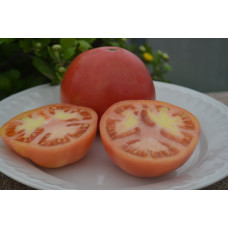 Семена помидоров Супер клуша