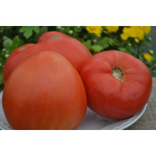 Семена помидоров узбекский красный
