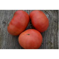 Семена помидоров Русский размер розовый