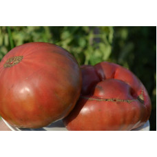 Семена помидоров Чёрный крым