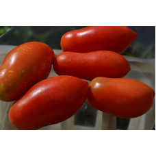 Семена помидоров Фляшен№2