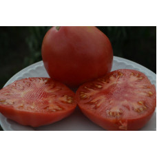 Семена помидоров Кочетковские