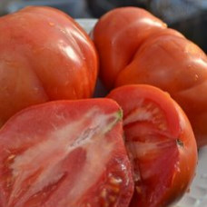 Семена помидоров Кунео большая груша