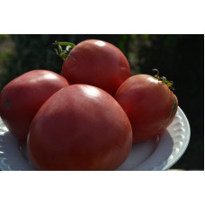 Семена помидоров Микадо сибирико