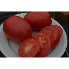 Семена помидоров Настенька