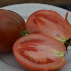 Семена помидоров Ослиные уши