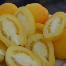 Семена помидоров Сливка Бендрика жёлтая